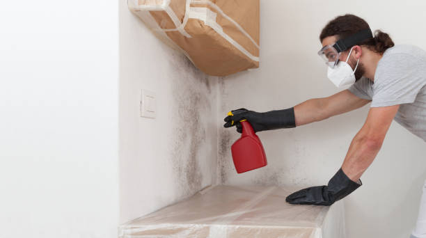 Professional Mold Removal technician working in Succasunna, NJ